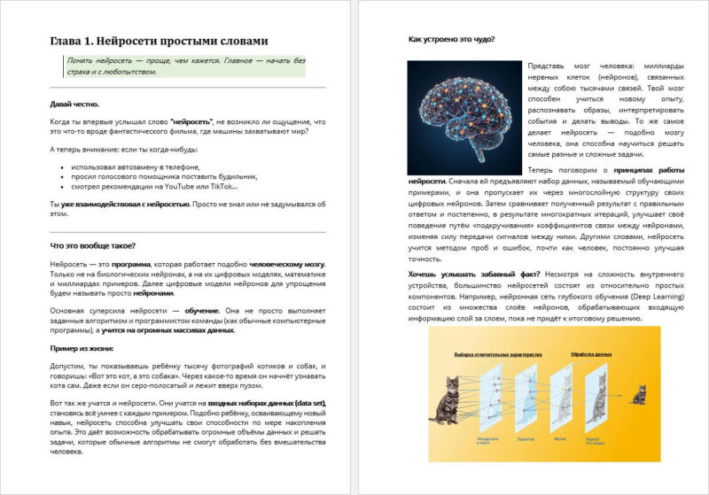 Neurorazum Neurorazum